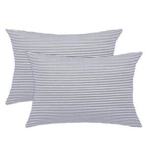 2pcs Striped Lumbar Throw Pillow Cover Decorative Cushion Covers Blue and White